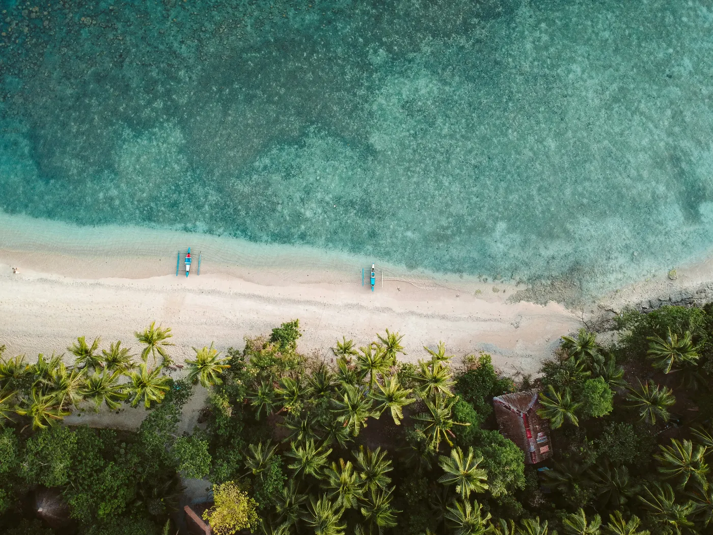Aerial top-down view of a tropical beach with outrigger boats and palm trees